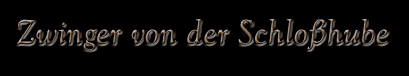 Zwinger von der Schlosshube